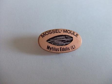 Mossel-Moule mytilis Edulis